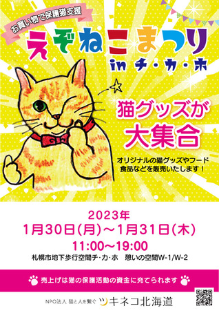 えぞねこまつりinチカホ