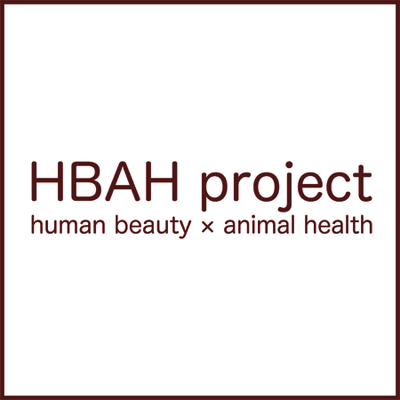 HBAH project POPUP
