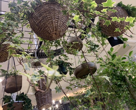 jiku-hana出張植物屋さん