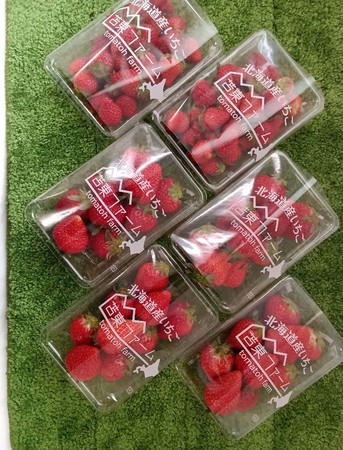 北海道産いちごの販売会（試食付き）