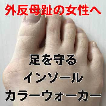 新機能性インソールカラーウォーカー試着体験ワークショップ